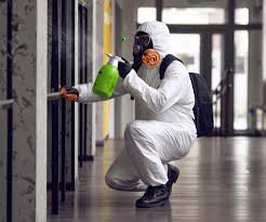 Best Emergency Mold Remediation in USA